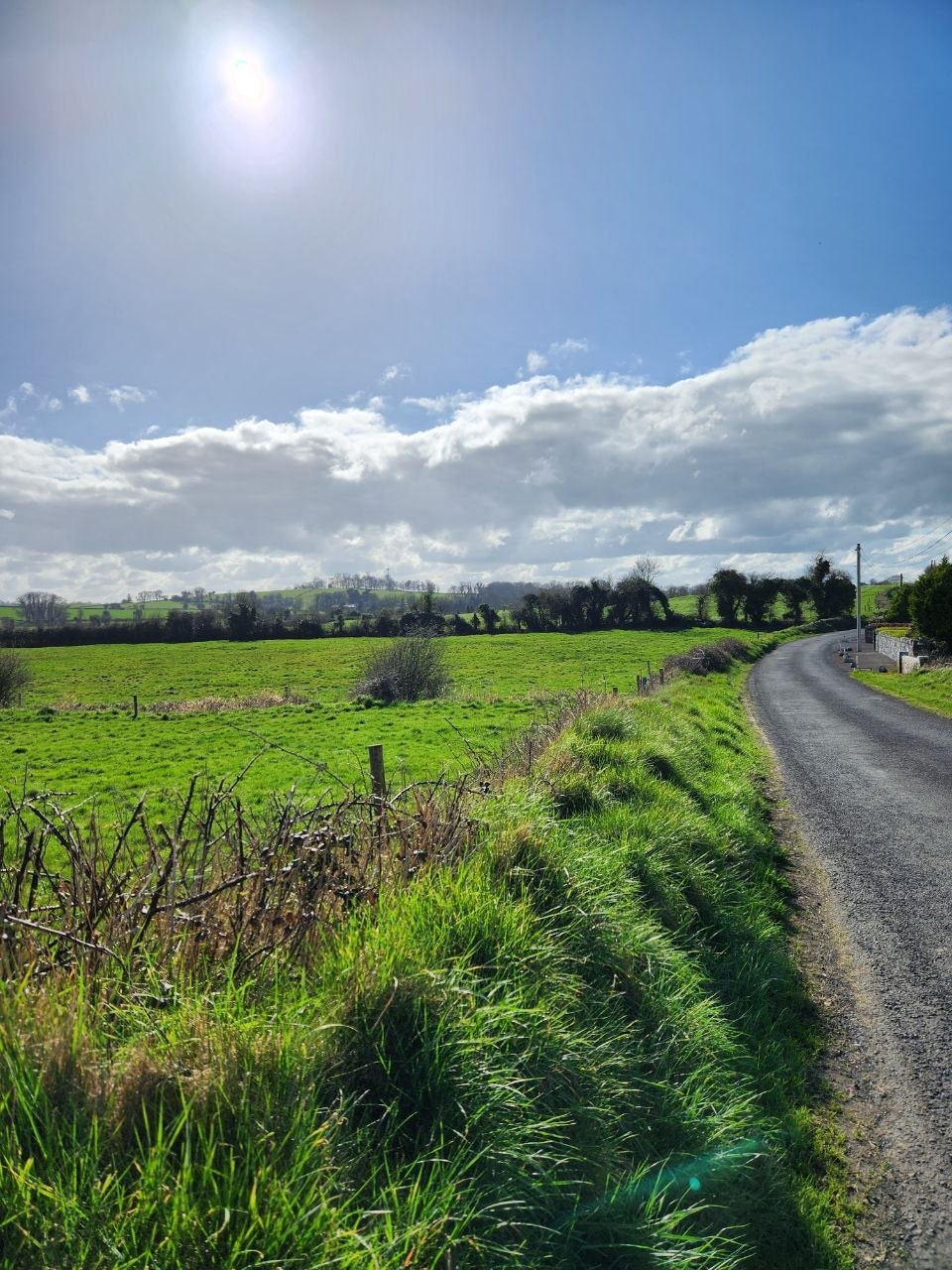 Caherelly, County Limerick.