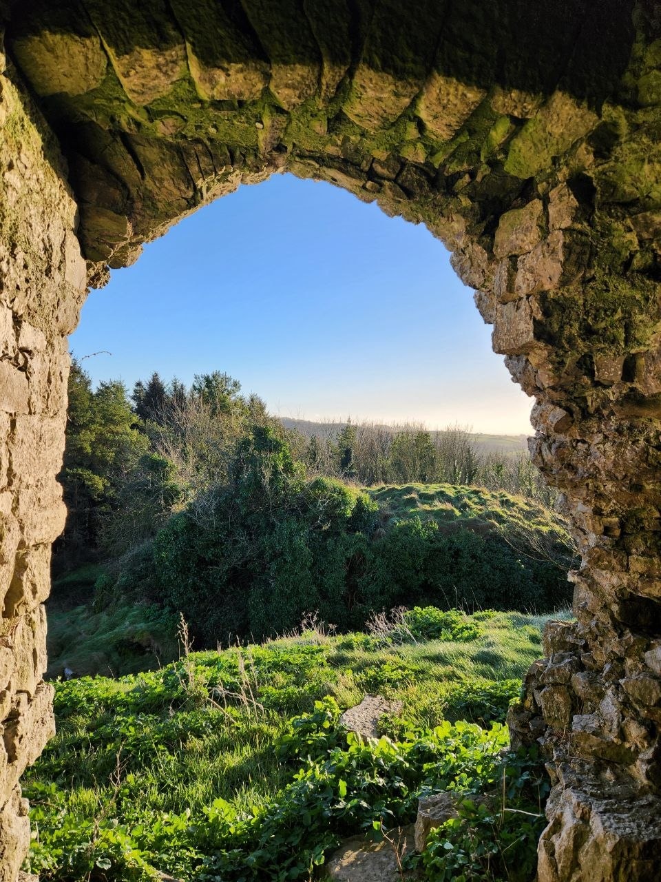 A castle in County Limerick.